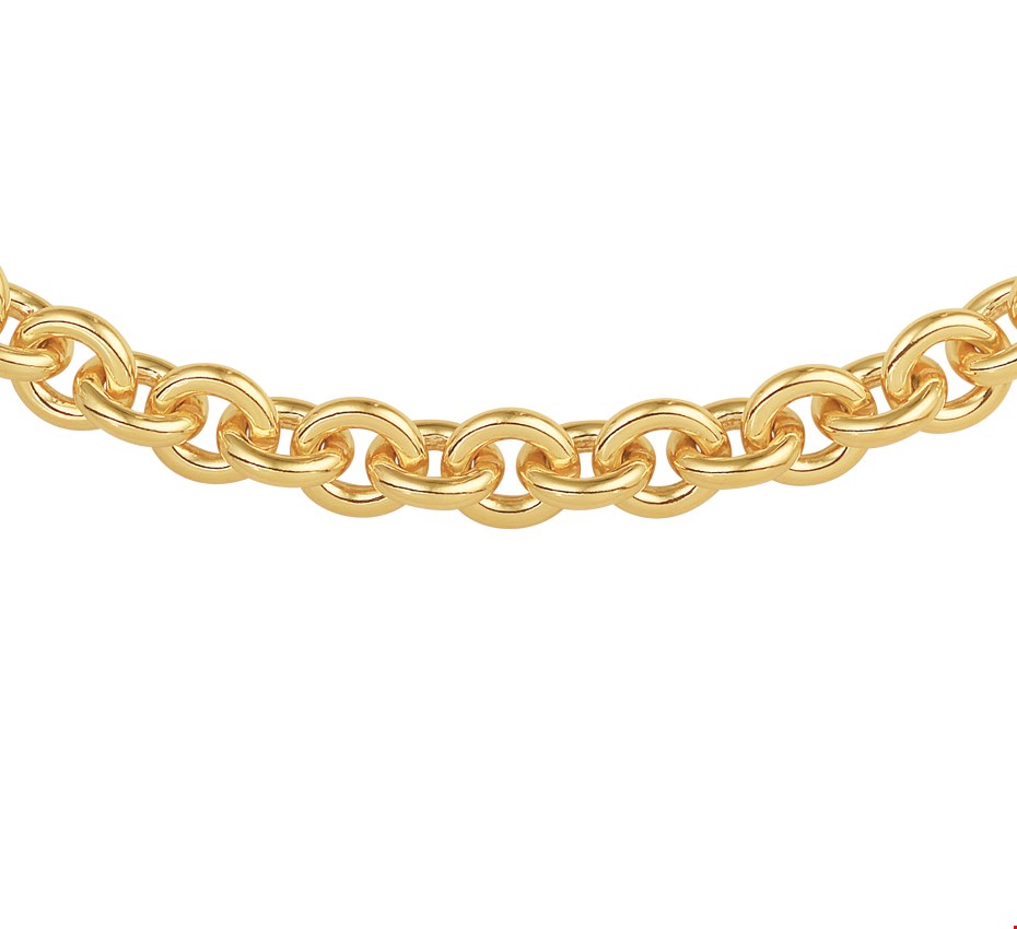 Zilgold Collier goud met zilveren kern Anker 10 mm 47 cm