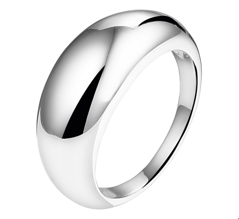 The Jewelry Collection Ring - Zilver