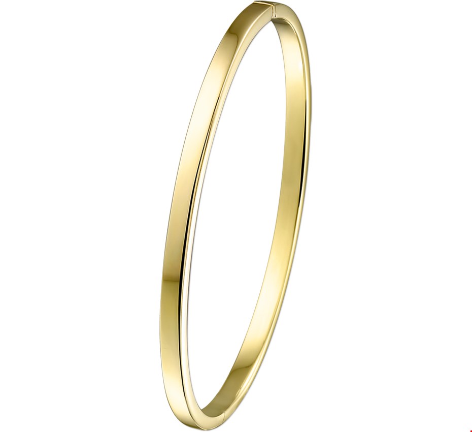 Armband Zilgold Bangle geelgoud met zilveren kern Vlakke buis 3 mm x 61 mm