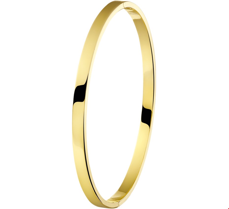 Armband Zilgold Bangle geelgoud met zilveren kern Vlakke buis 4 mm x 60 mm