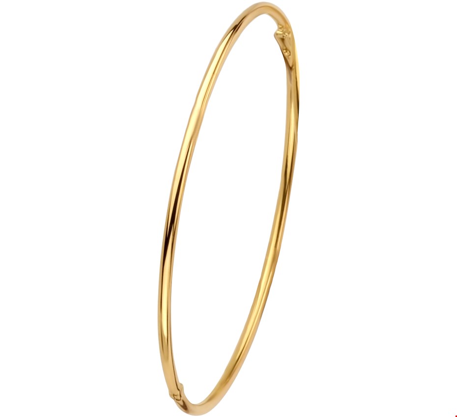 Goud met Zilveren Kern Bangle scharnier ronde buis 2 5000194